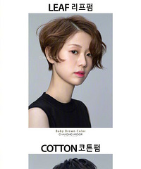 37�ϵ���ͺϼ��ο�