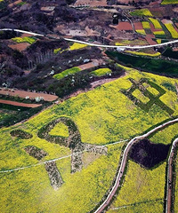 լ�ҵĵ�28�죬�������ȥ��ɨ�ơ�