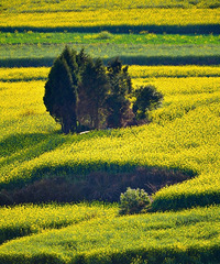 լ�ҵĵ�28�죬�������ȥ��ɨ�ơ�