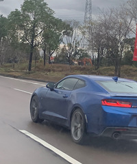 ���������ġ�ѩ�����ܳ����������