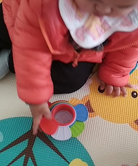 ����ɹ����������֣�����һ�����۰棬ȫ�ԣ�