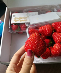 ƽ�׹��������ı������̲�ݮ��˾��̫�����ˣ�