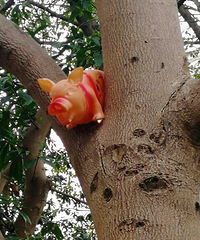 [������]��������