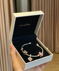 �Ϲ������˽�����˶�����������