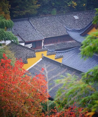 �ߺ󣬵��������ߣ�������ˣ�ȥһ�ξ��Բ�����