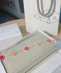 ����ű��������廨���� VCA�ҷ�����