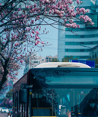 ��������ȥ�����ٺ���ͷ�������������ǵô�����Ŷ