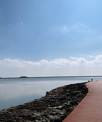 �ٺ���С����