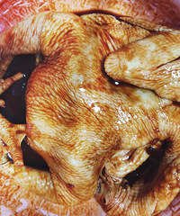 �緹���ռ�����ó���̫����