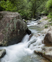 �ƾ��˰ɣ�����������̨������С��կ������