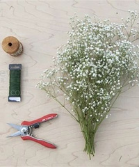 լ�ڼҿ����Լ����������ǻ���