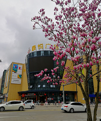 [������]�������̵�ʱ��