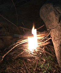 86����Ů��175CM�з�����һ���ȶ�������+��׳�Ӽ���