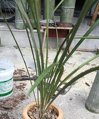 �������ġ�ë��Ͳ����;