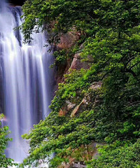 ������׶��Ķ����㶫С�ǣ���������ƮƮ����������������������