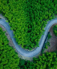 ��ɽ����ˮ����������ʳ�������ɽ�ǵĴ���ʵ��̫���ˣ�