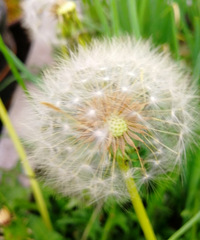 [������]�ѹ�Ӣ������