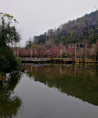 [������]���µ�����ɽ��԰�����ǲݳ�ݺ�ɣ���������