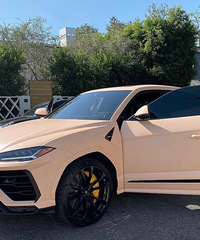 ���������ġ������ɫһ����hold��ס�ɣ�