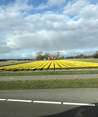 ȥ��4�����ң�����ȥ������5��Ļ���һ���˴��15K�������