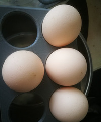 �Լ���������ʳ�����