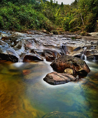 ���������򷿣�lpr��ѡ�̶����Ǹ�����