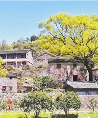 ��������鿴�е�̨����������