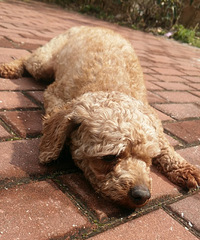 ˭�ҹ����߶���