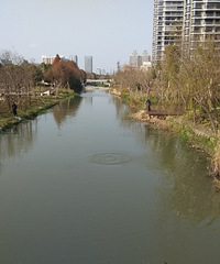 �������ġ���������������