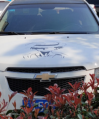 ���������ġ��������˭��