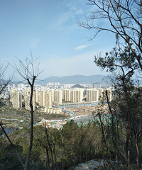 ·�Ż�����ɽ����