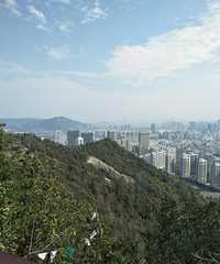 ·�Ż�����ɽ����