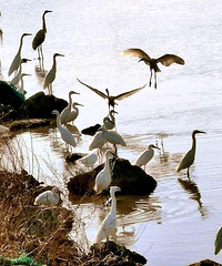 ������ʲô��ɫ�����Ÿ����㣡