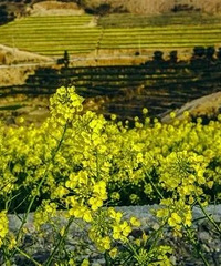 ������ʲô��ɫ�����Ÿ����㣡