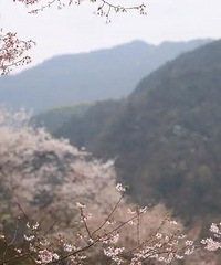 ��ɽӣ����������ȥ�Ͱ������壬����һ������ӣ���꣡