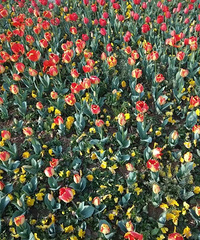 �������ġ�������������