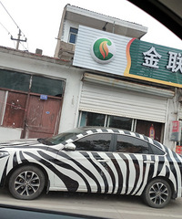 ���������ġ�����������������Ҳ̫ɧ���˰�