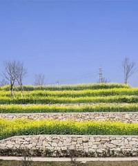 ����ֲ��԰20��Ķ�Ͳ˻�����ʢ����һ��ȥ������~