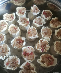 �����������Լ����ַ�����ʳ�������Լ���ζ��