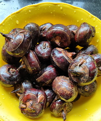 ����������ԣ�������ô�ԣ�����ʲô�򵥺óԵ�������