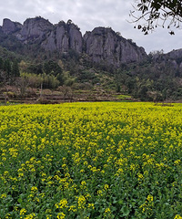 �����˶ѣ����������ӣ����ι���ʡ��