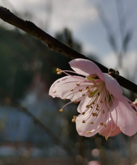 �����˶ѣ����������ӣ����ι���ʡ��