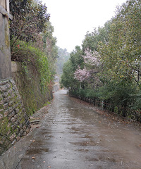 �������ġ����п���������