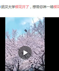 ���ѣ����ӣ�����ˣ�