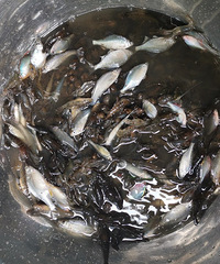 �������ġ��������Ϻ��С����������ˡ�