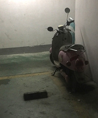 ʮ����ĳ�λ������������ͣ�˵�ƿ����������