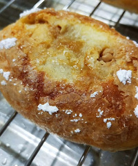 ����������ΰ�