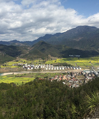 �ɾ�˫����ɭ��԰�Ͳ˻����۰�����