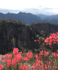 仙居双庙翁森公园油菜花被咱包场了