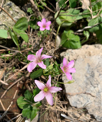 ���۸��᡿2�·ݵĵĹ��ʶ�������